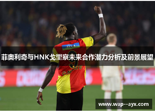 菲奥利奇与HNK戈里察未来合作潜力分析及前景展望