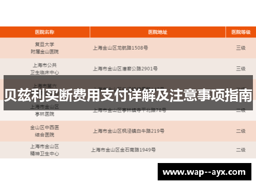 贝兹利买断费用支付详解及注意事项指南