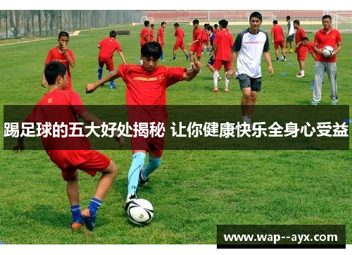 踢足球的五大好处揭秘 让你健康快乐全身心受益 踢足球的五大好处揭秘 让你健康快乐全身心受益